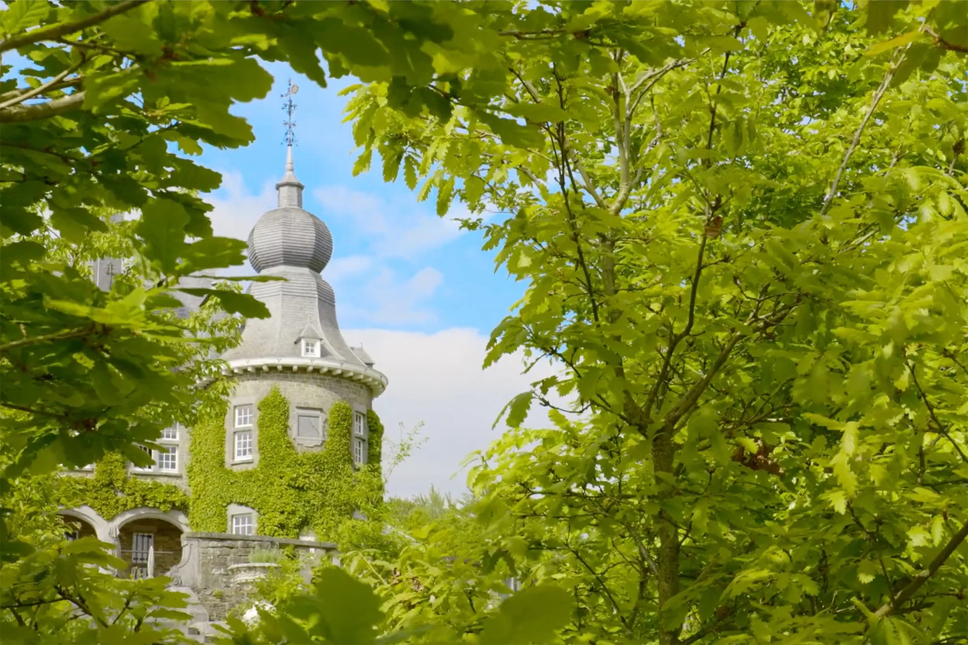 Manoir de Lébioles — photo 26