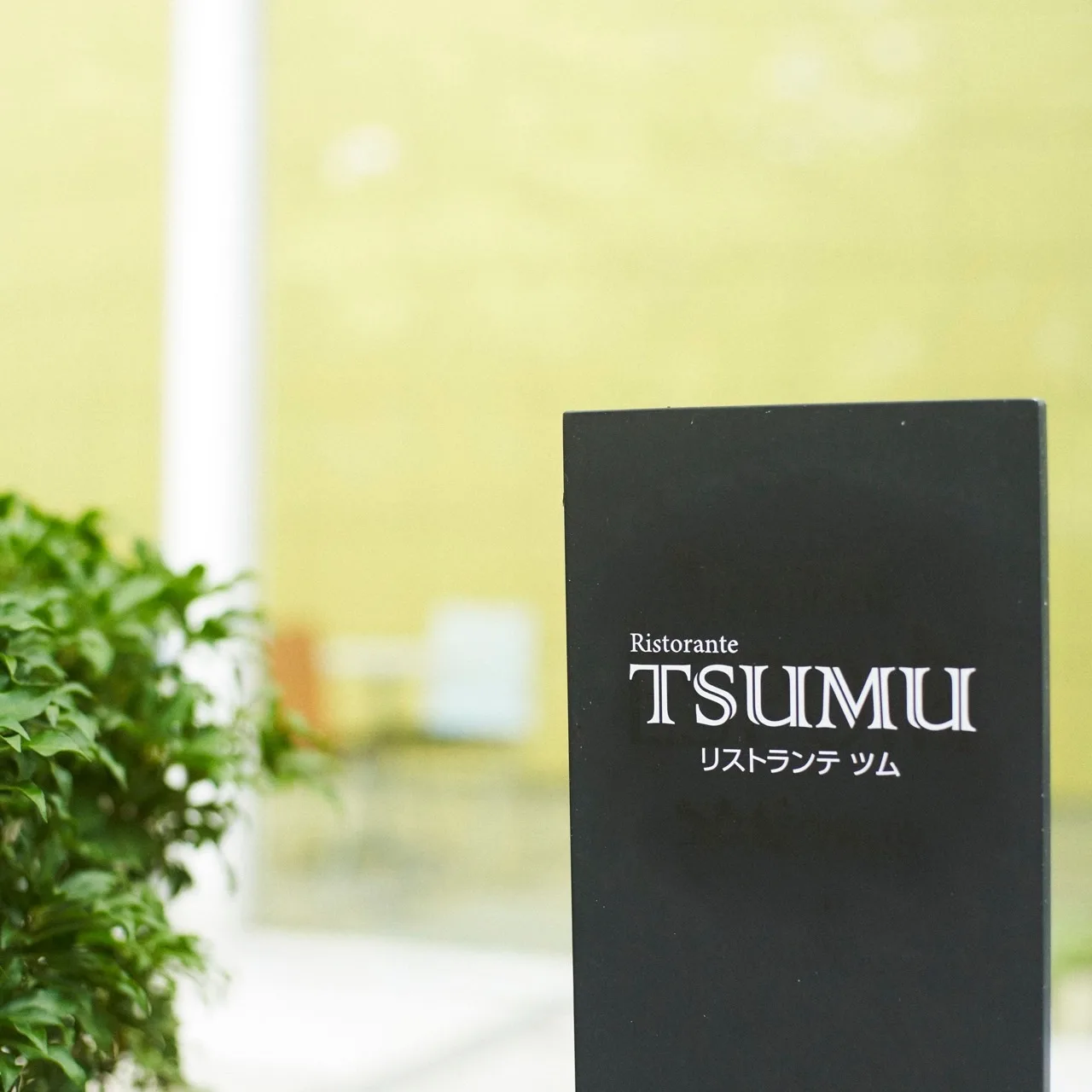Ristorante TSUMU — photo 11