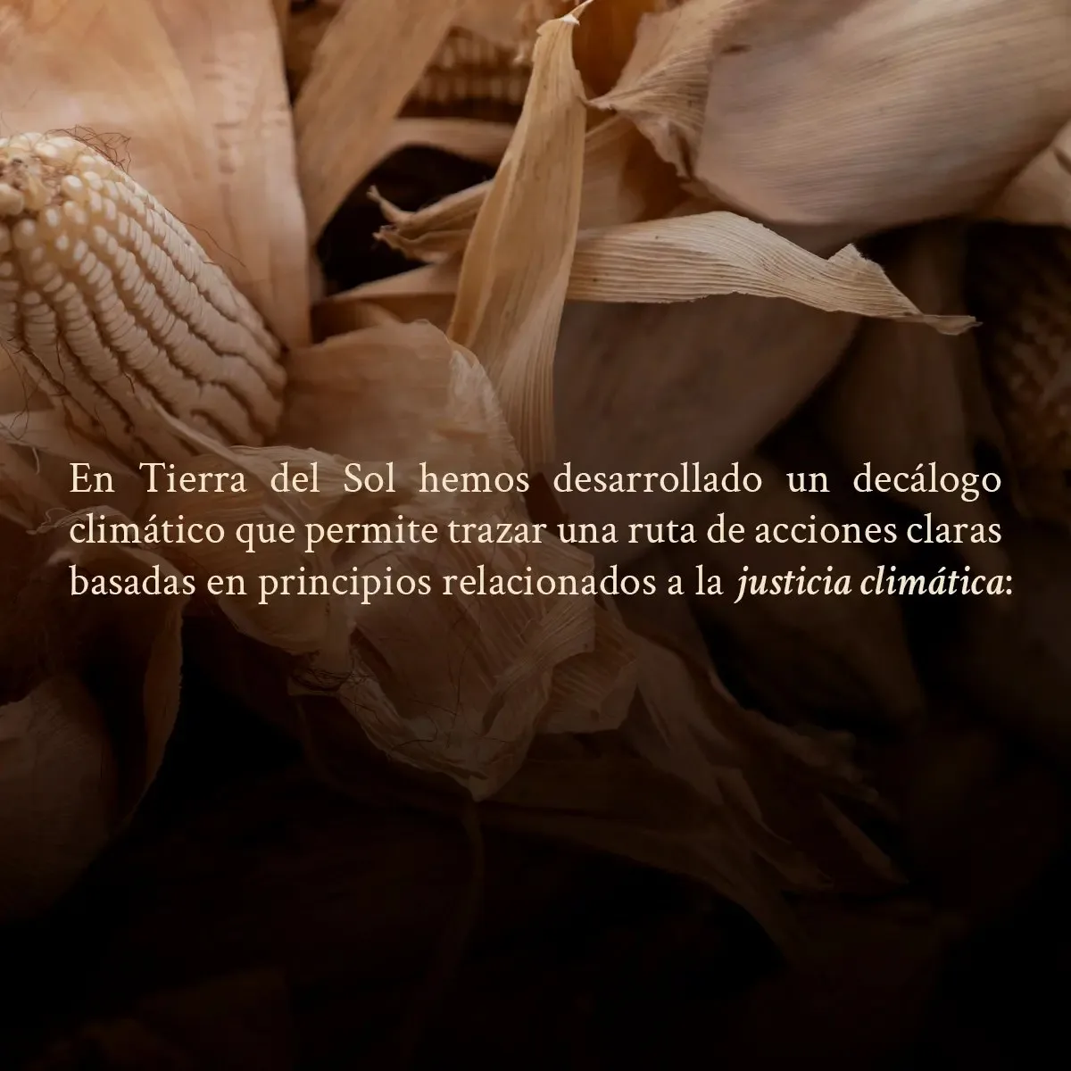 Tierra del Sol — photo 7