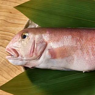 Shimmachi Adachi — food