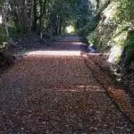 Seasons View — photo 5