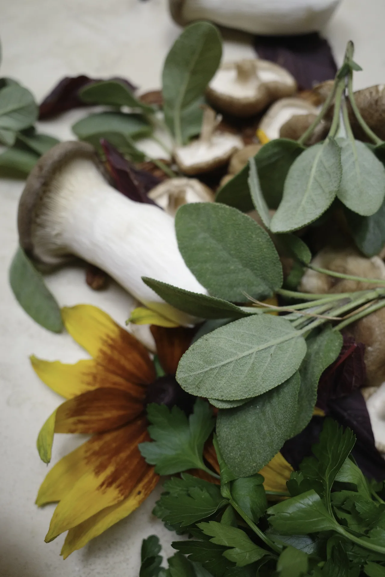Epiphany’s Kitchen — photo 88