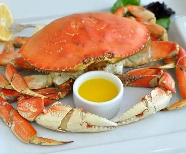 New England Lobster Eatery — photo 15