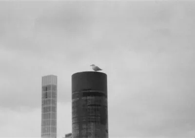 Eulalie — photo 4