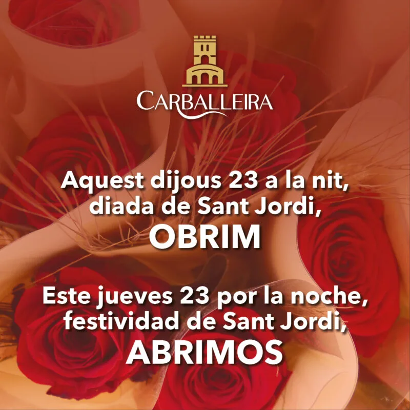 Carballeira — photo 10