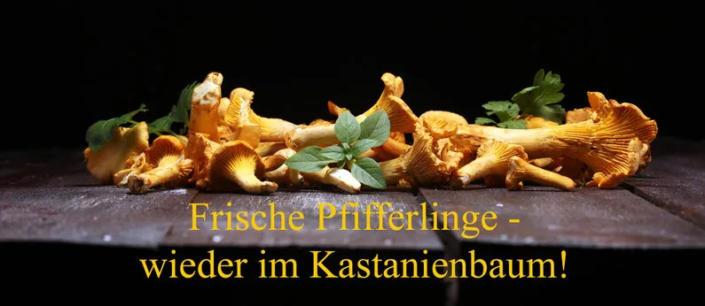 Landgasthof Kastanienbaum — photo 7