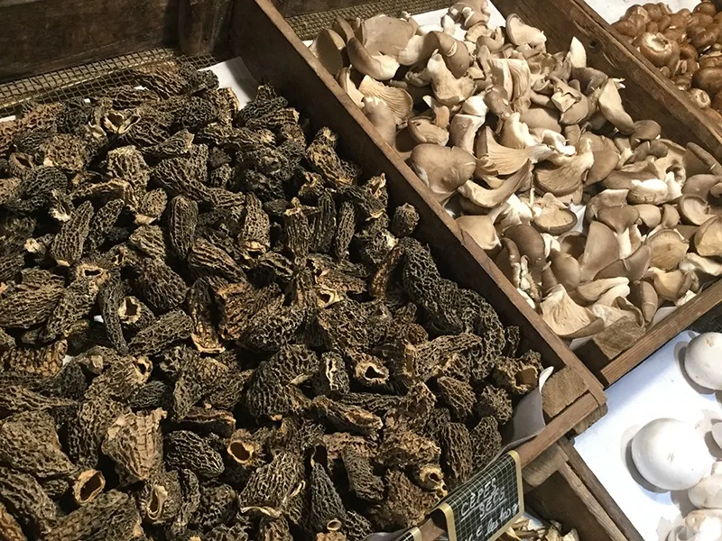 Nancy Bourguignon — photo 29