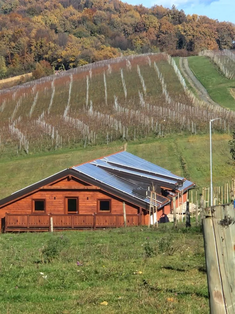 Bolfan Vinski Vrh — photo 45