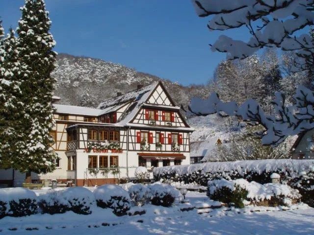 Au Cheval Blanc — photo 7