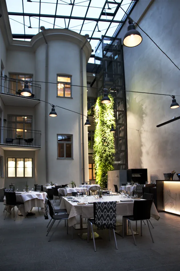 Olo Restaurant — photo 17