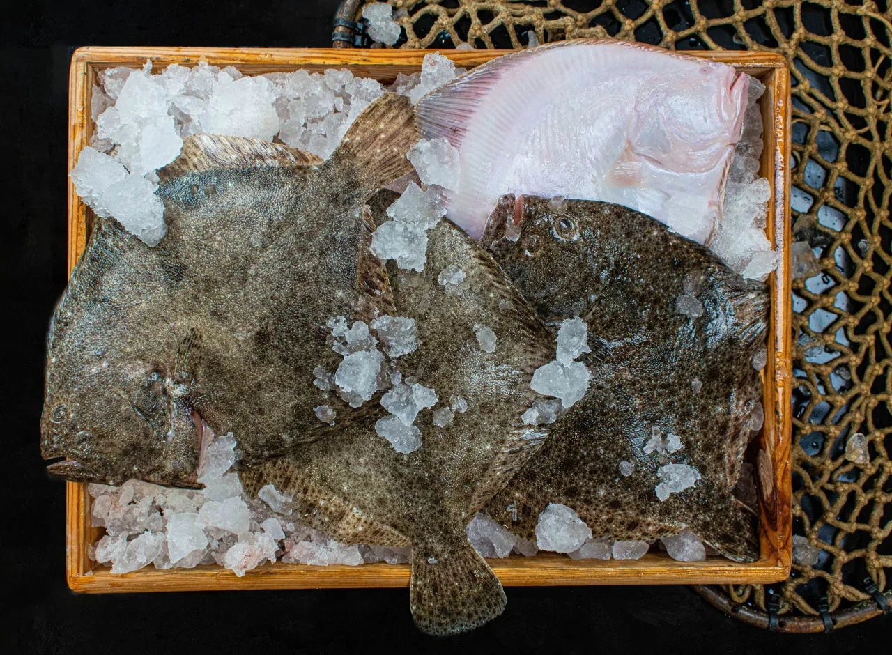 Atlantik Fisch — photo 91