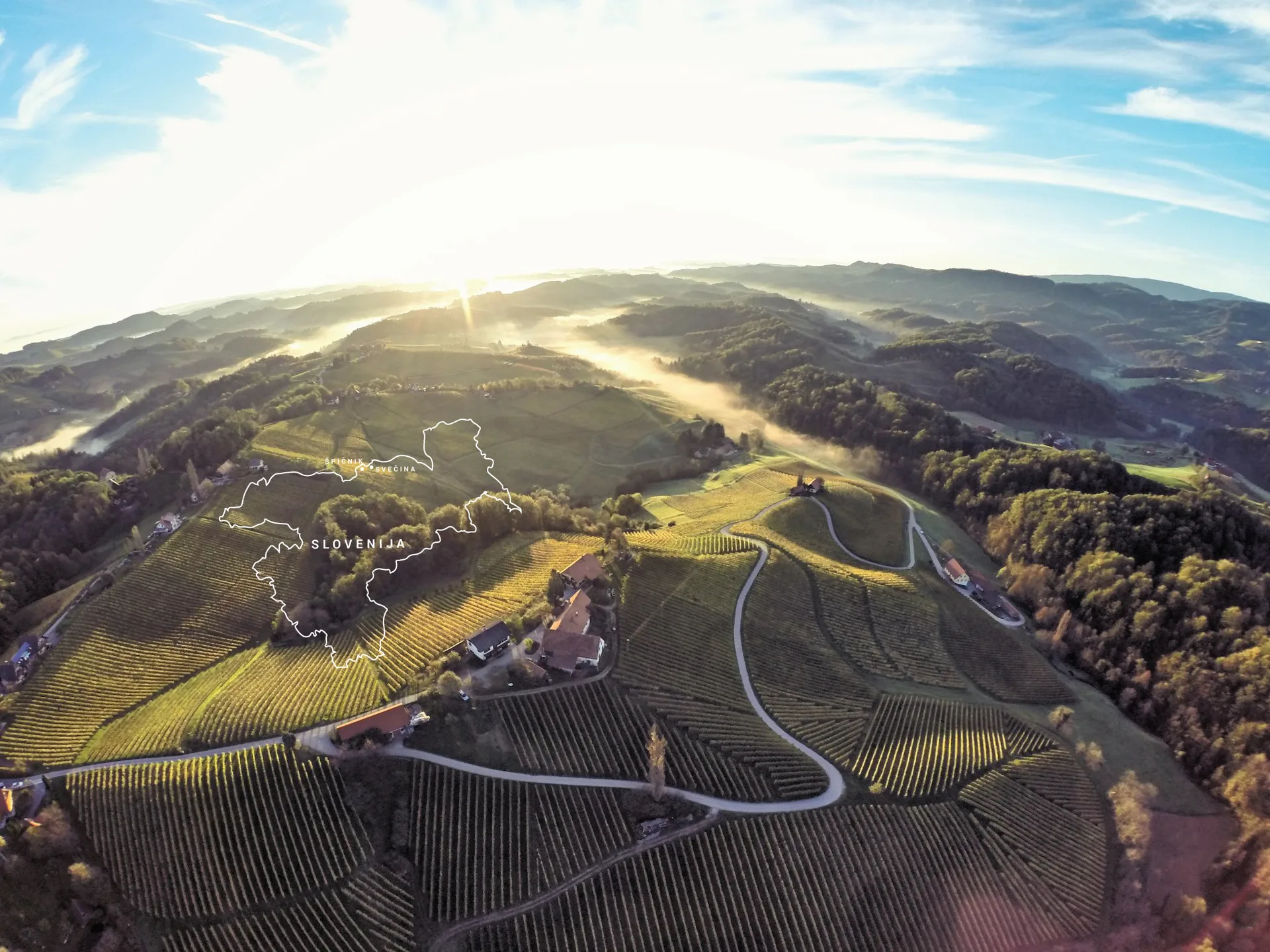 Domačija Vino Gaube — photo 42