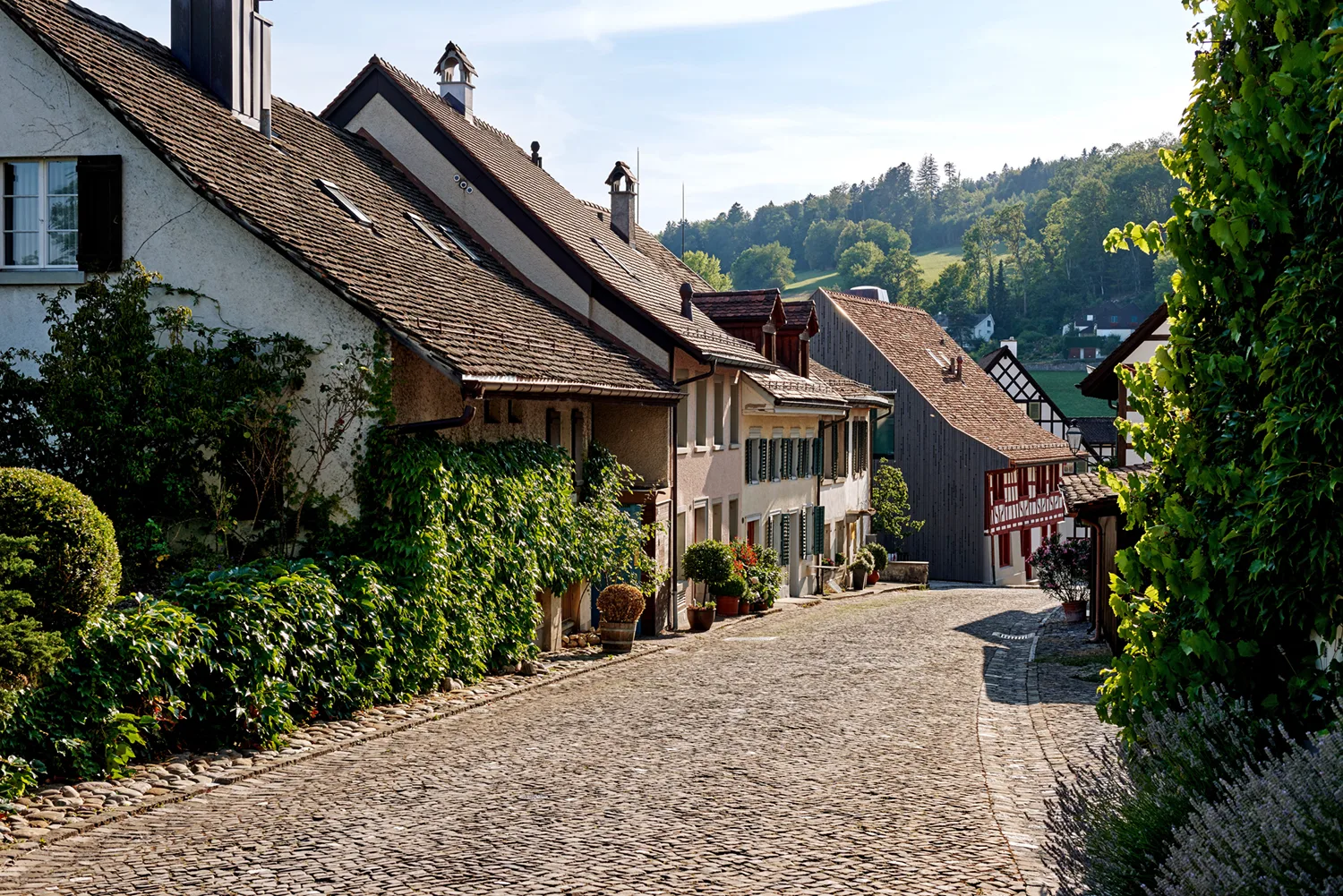 Krone — photo 9