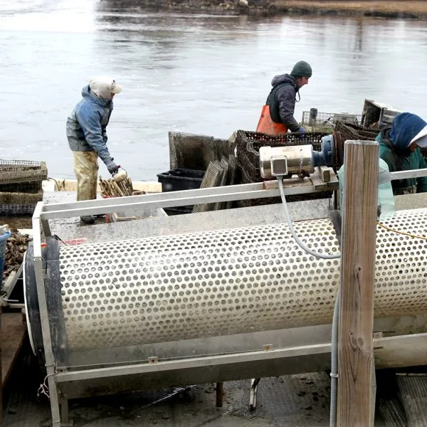 Matunuck Oyster Bar — photo 35