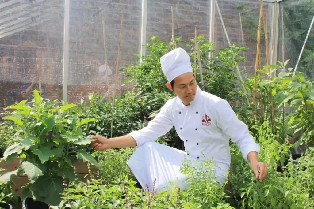 Lek Thai Chef — photo 6