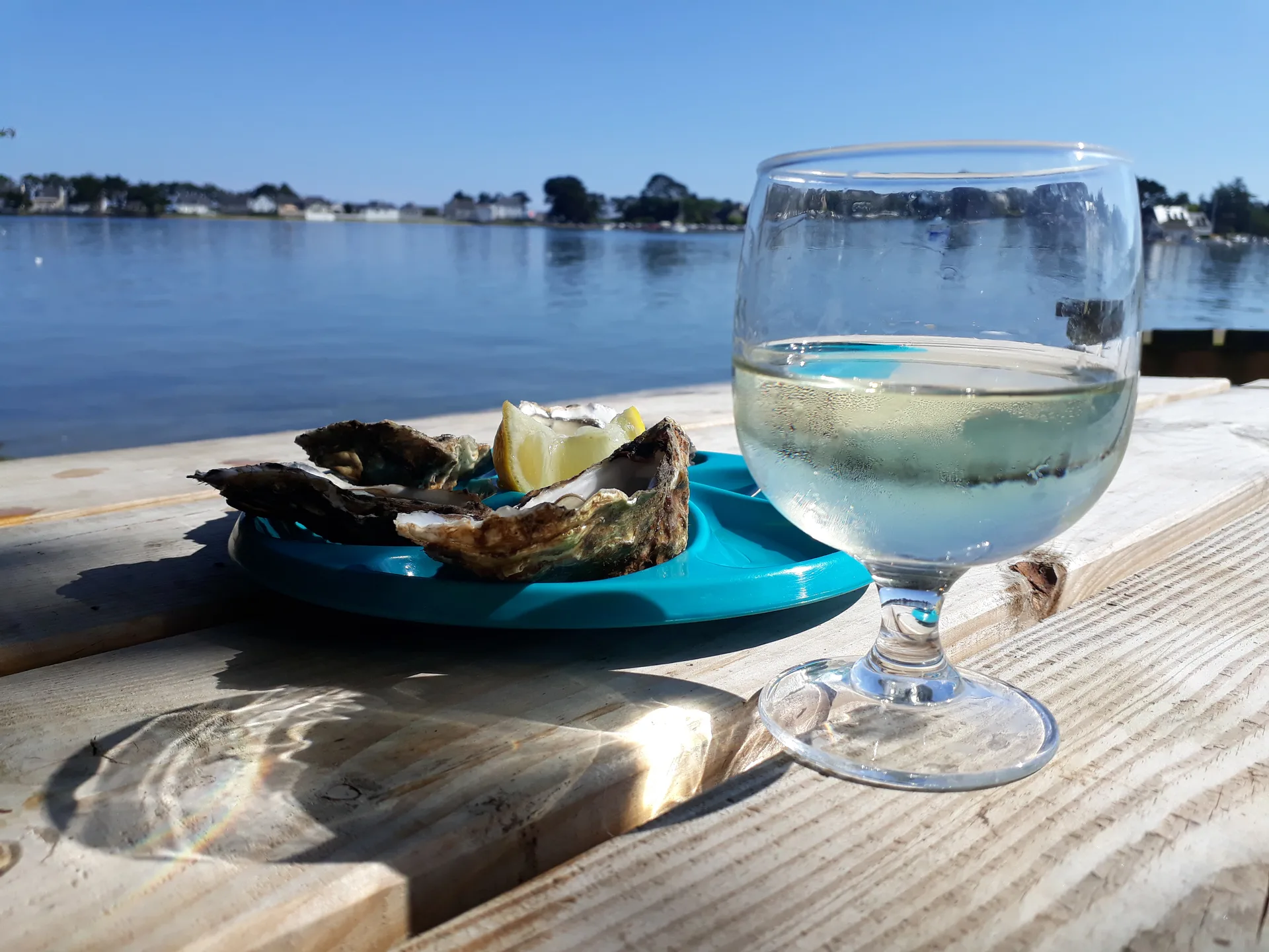 Aux Viviers de Penfoulic — photo 20