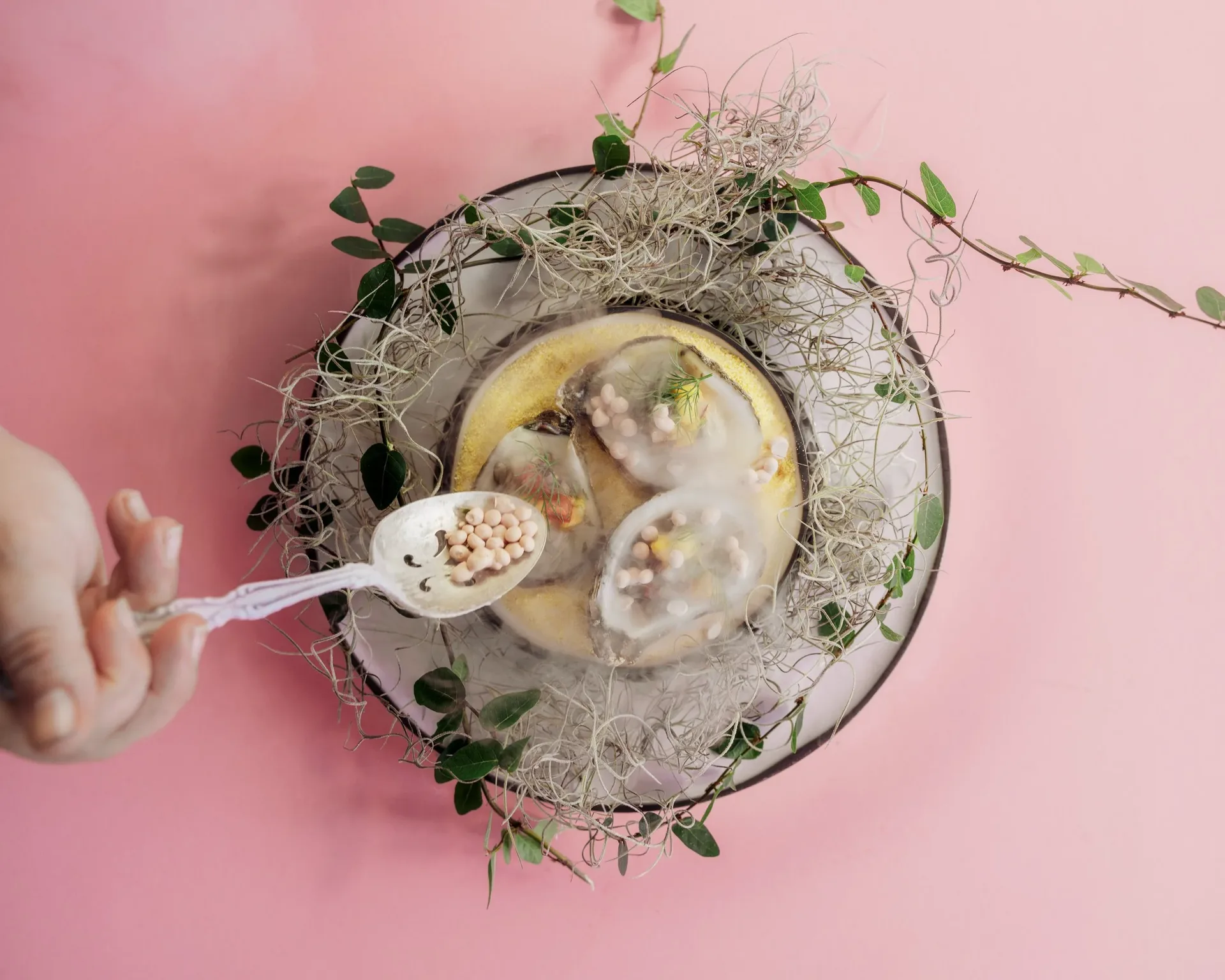 Four Flamingos, A Richard Blais Florida Kitchen — photo 17