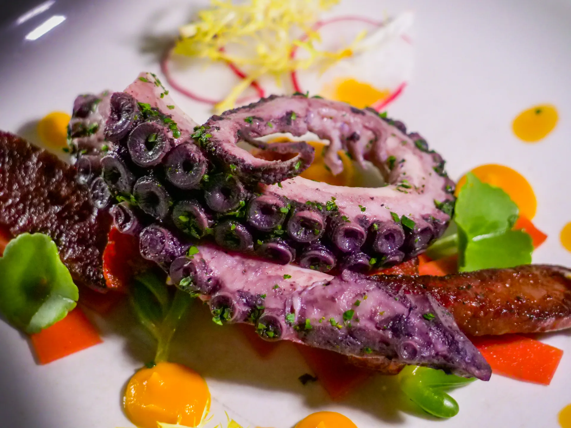 Bass and Lobster — food