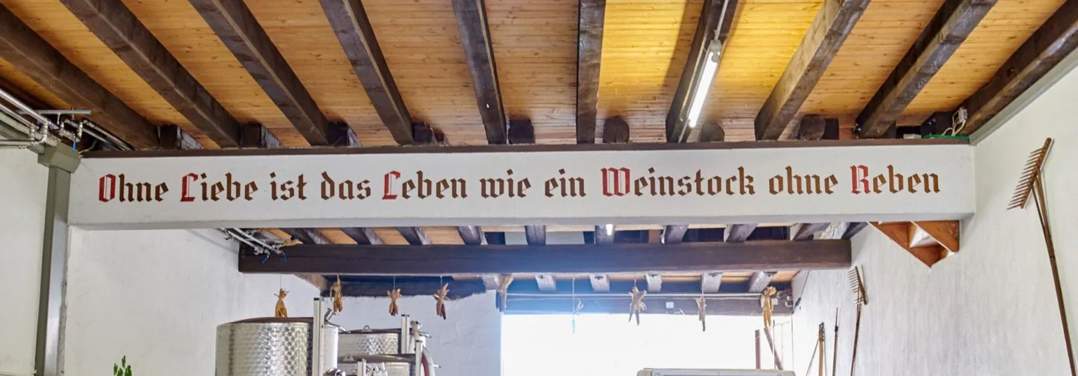 Weingasthaus — photo 4