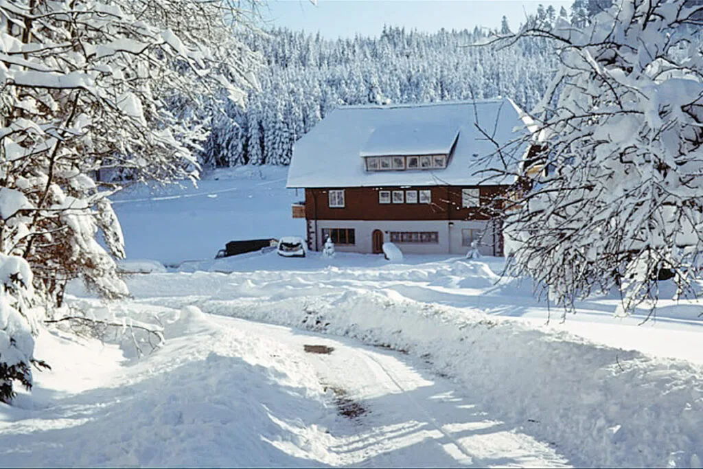 Waldsägmühle — photo 66