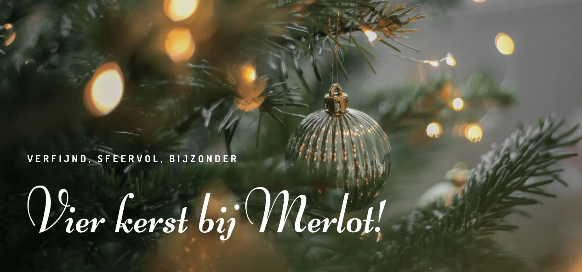 Merlot — photo 12