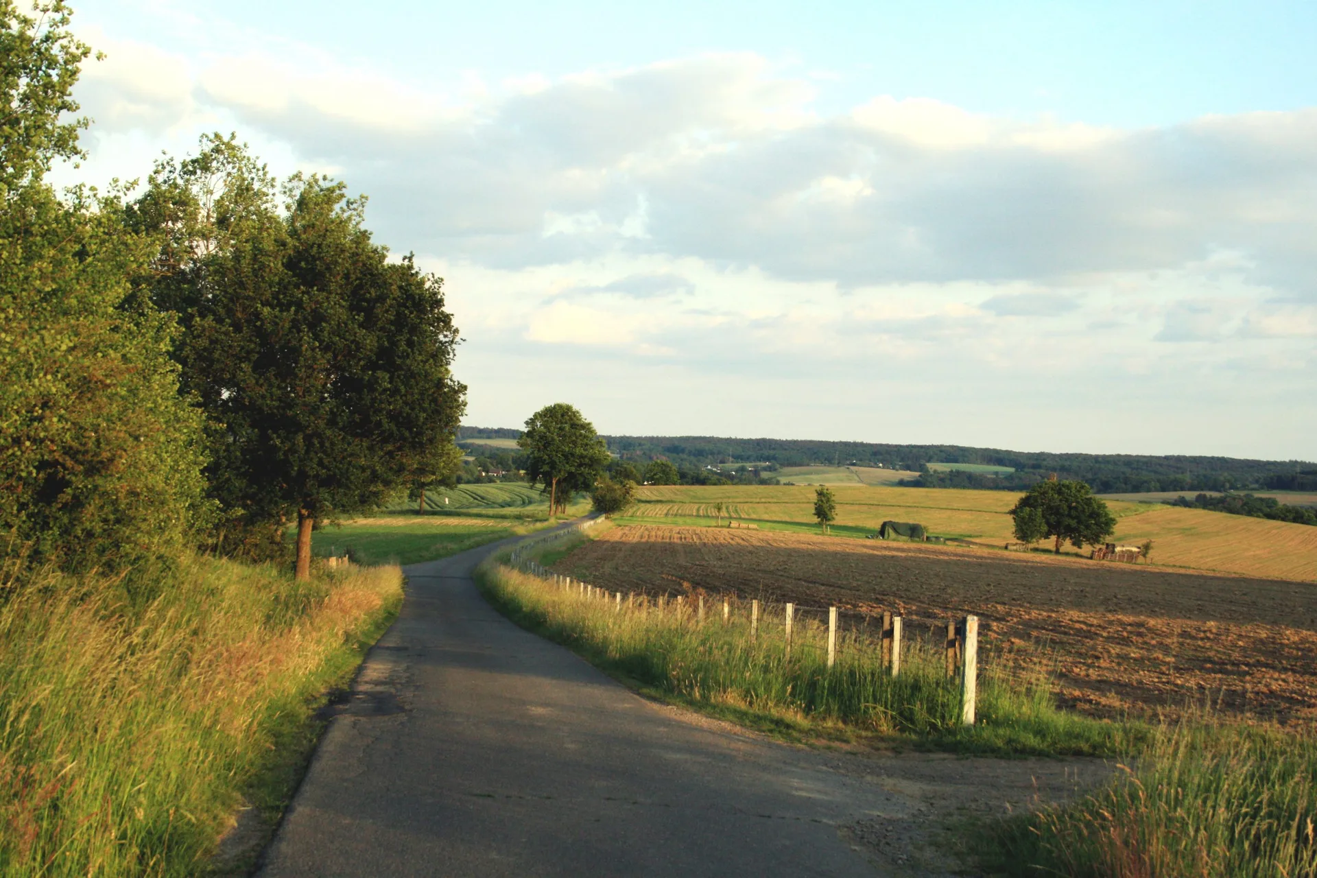 Restaurant Mohn — photo 18