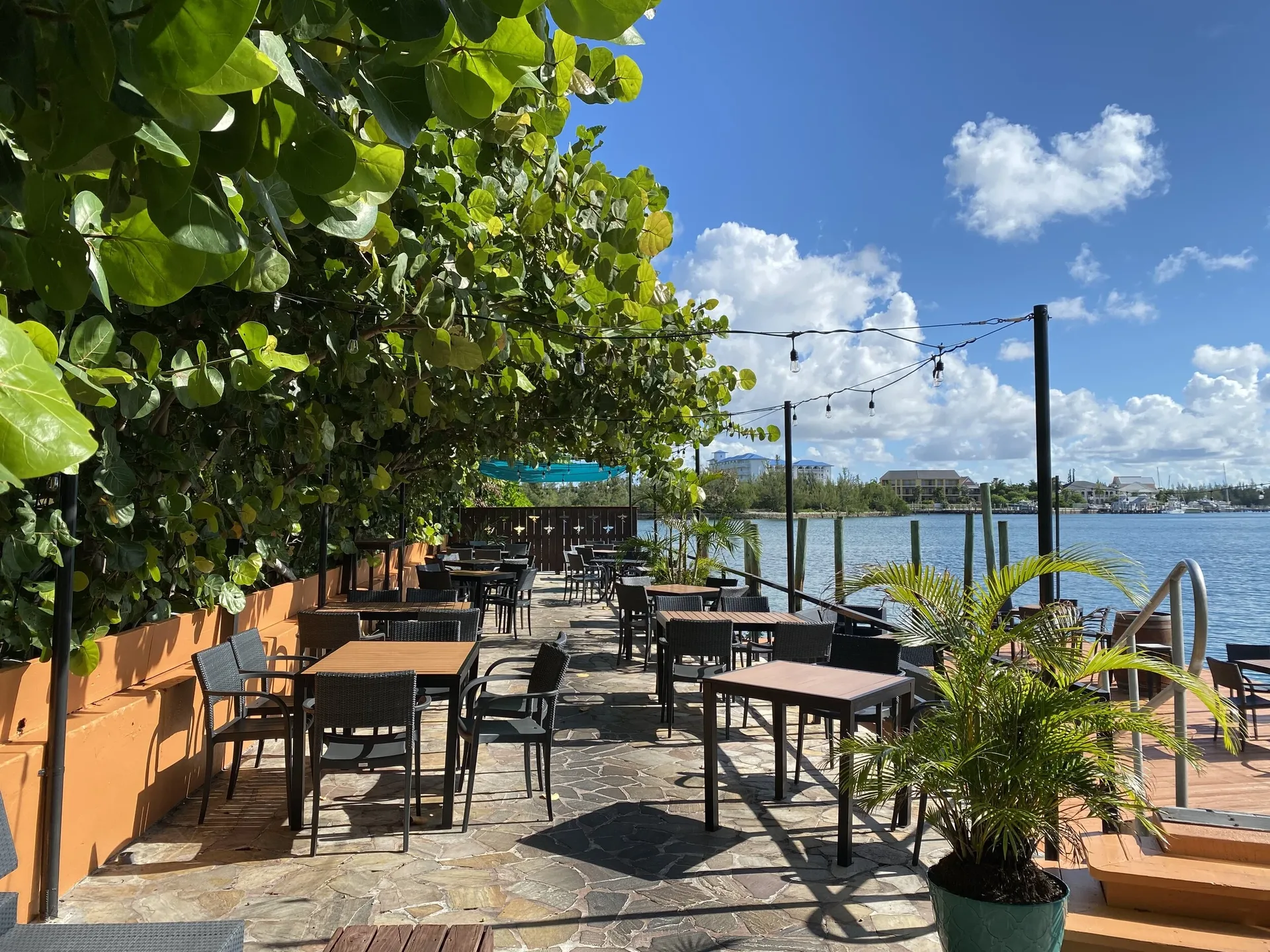 Flying Fish GastroBar — photo 104