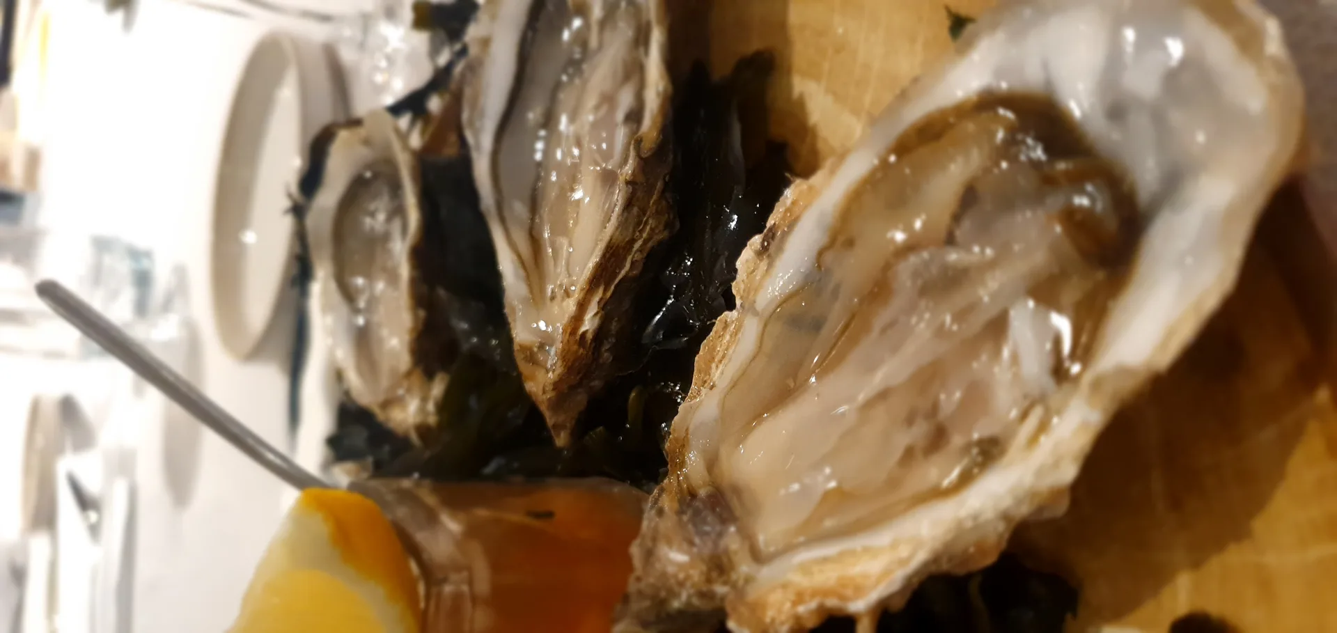 Côté Mer — photo 15