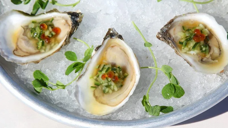 Matunuck Oyster Bar — photo 22
