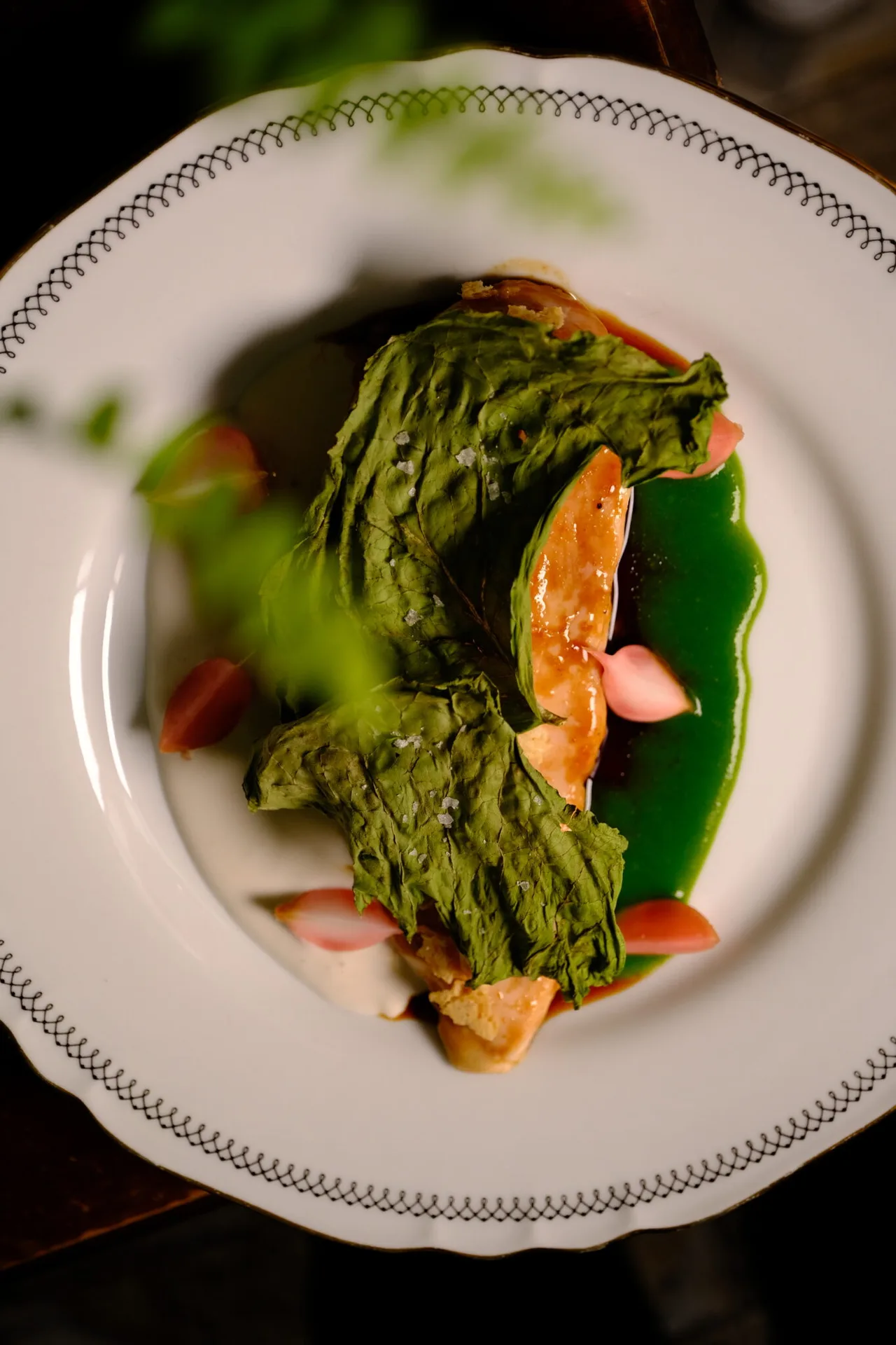 Riccioli d’oro — photo 16