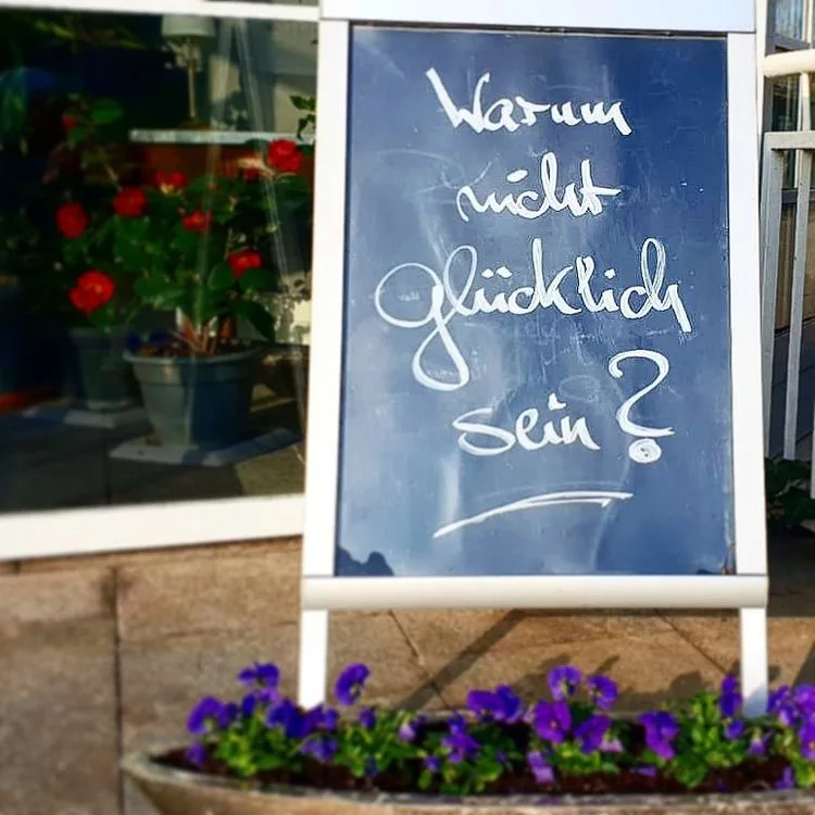 Die Kelter — photo 25