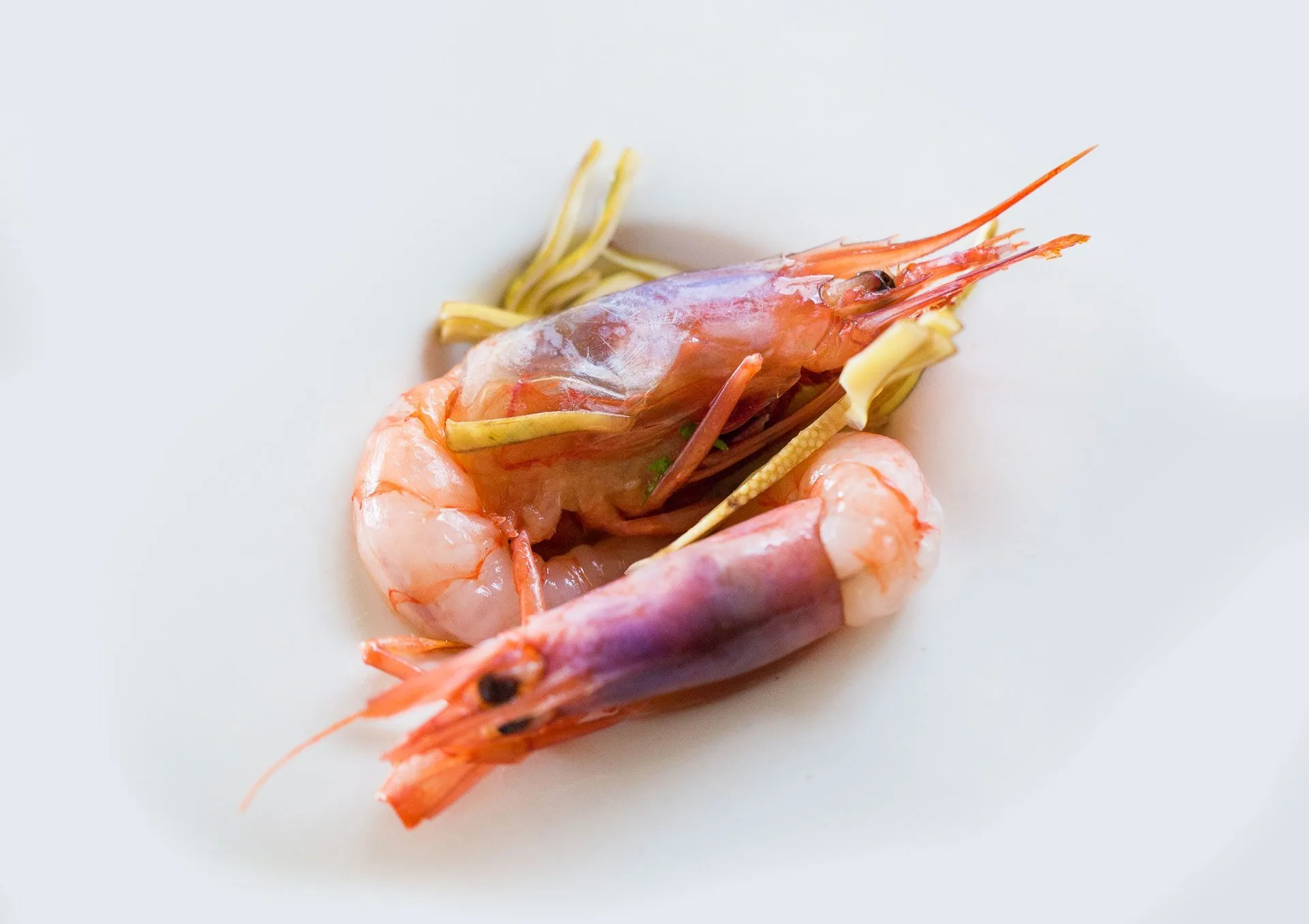 Osteria Mood — food