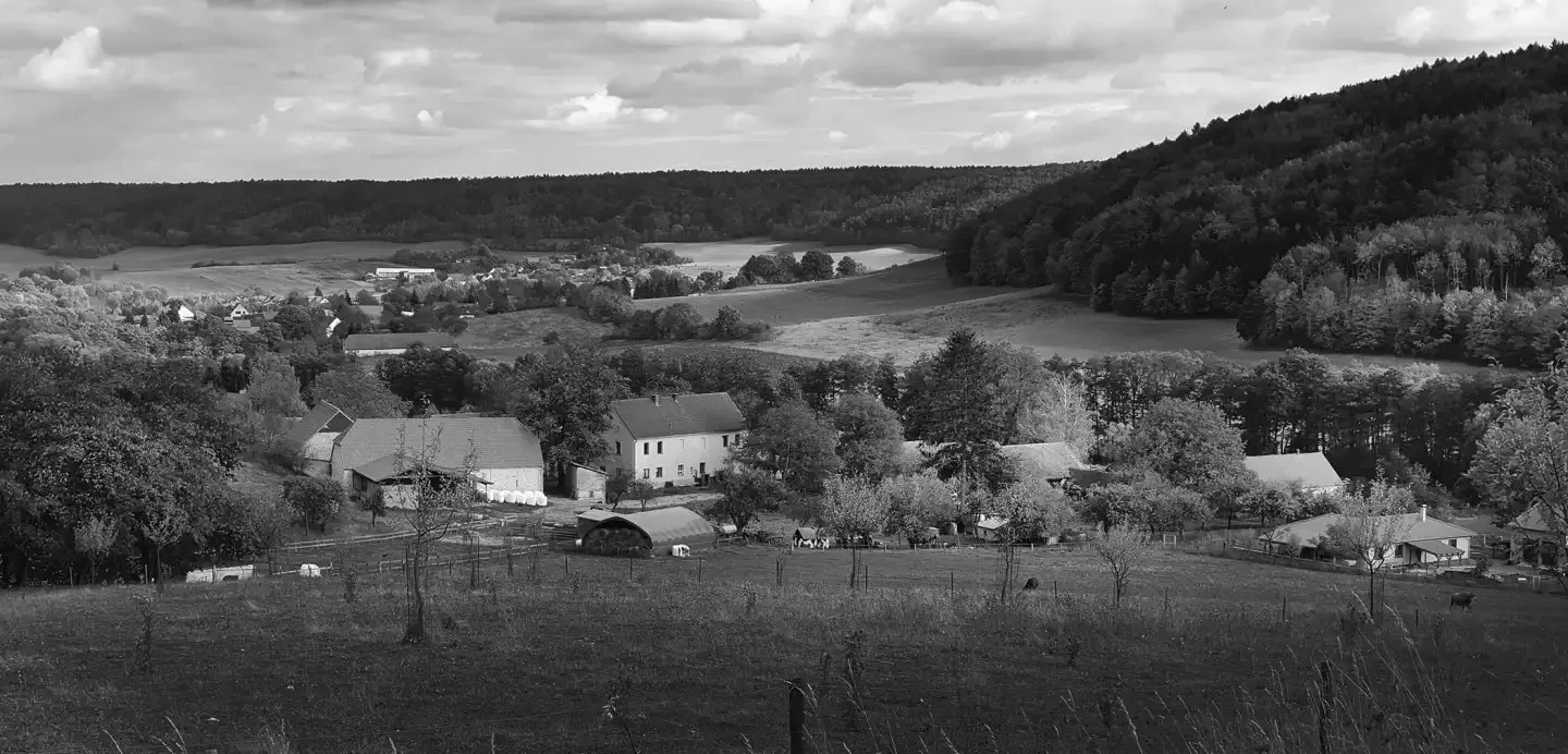 Restaurace Letná Kladno — photo 6