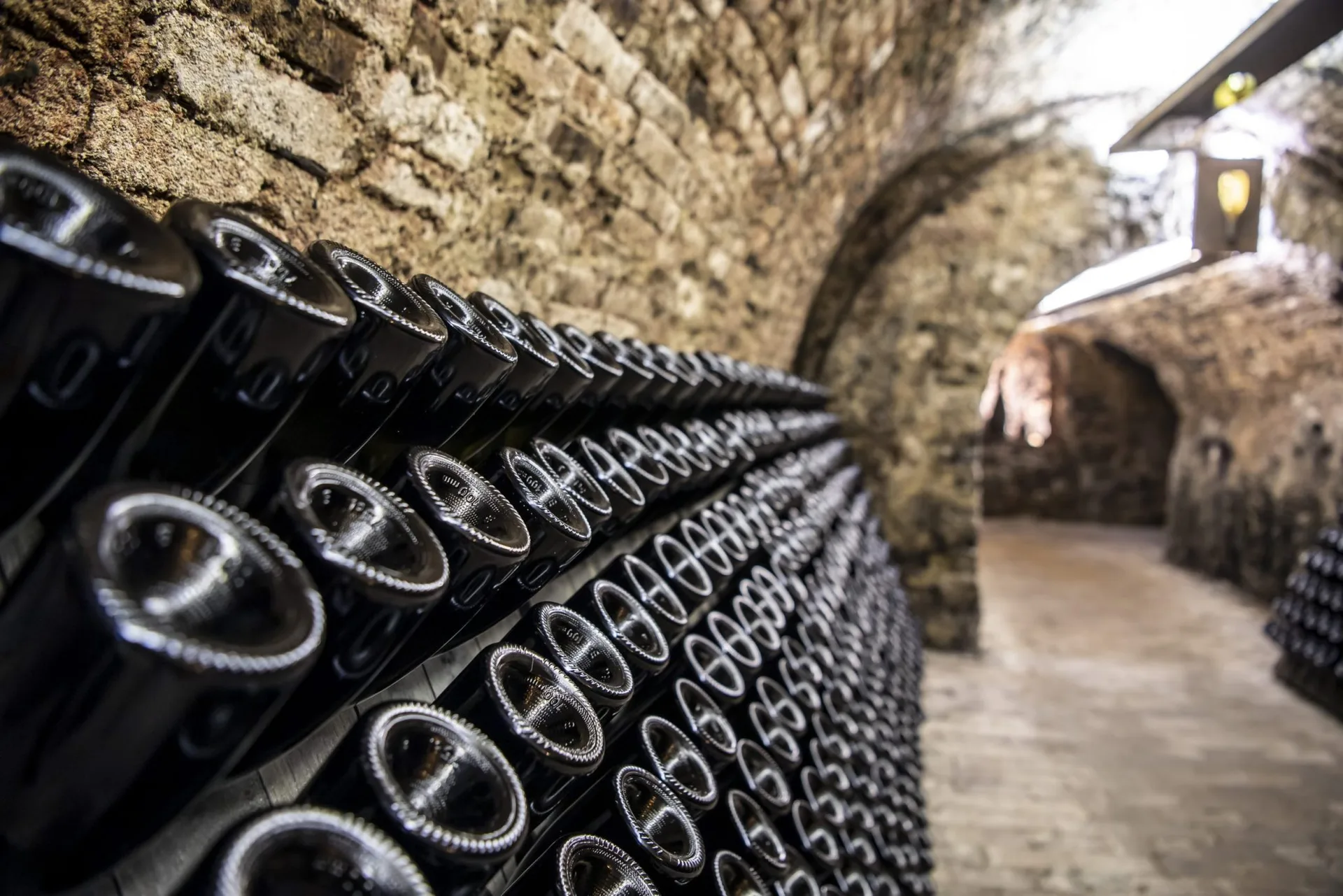Vineyard — photo 100