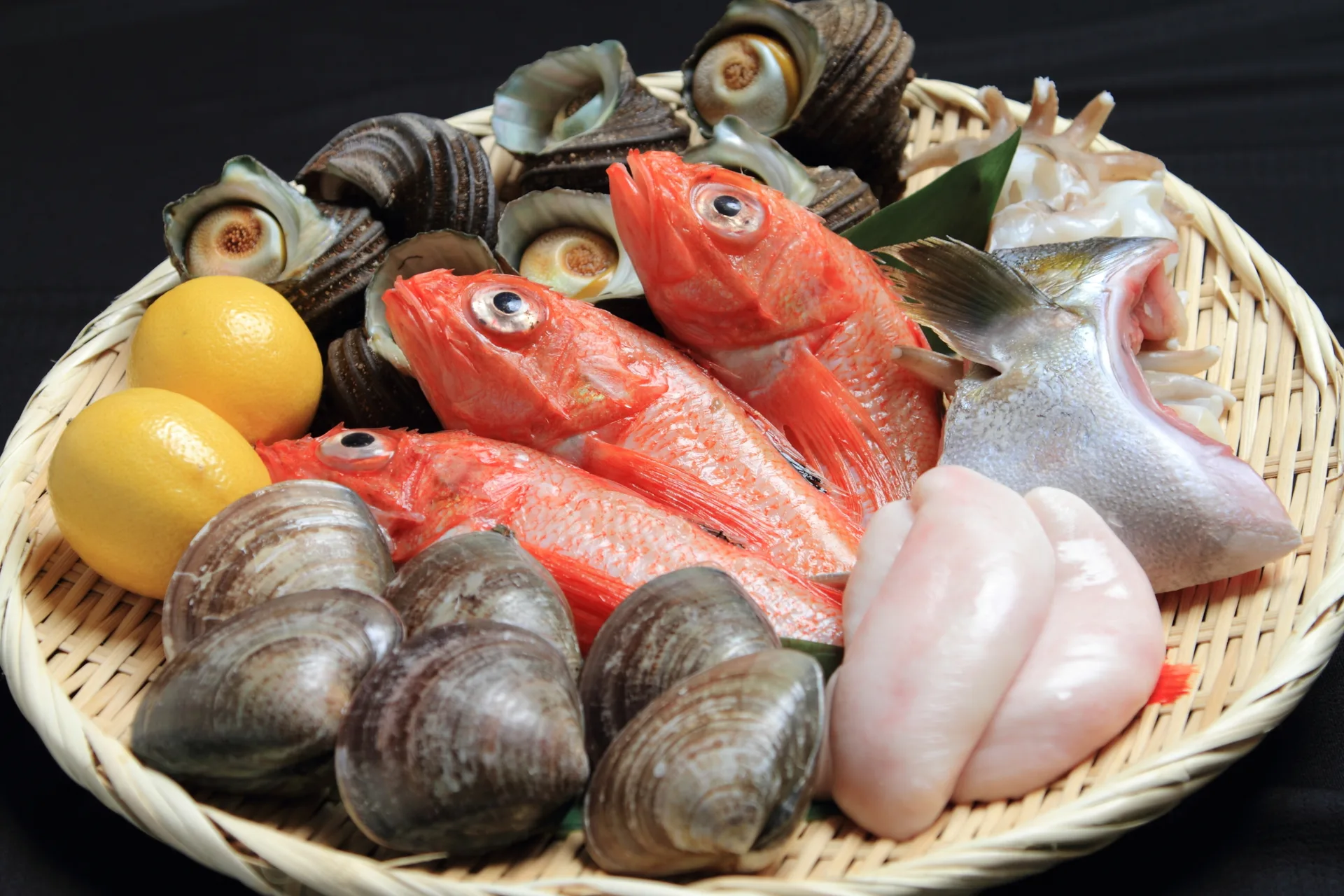 SUSHI INO — photo 8