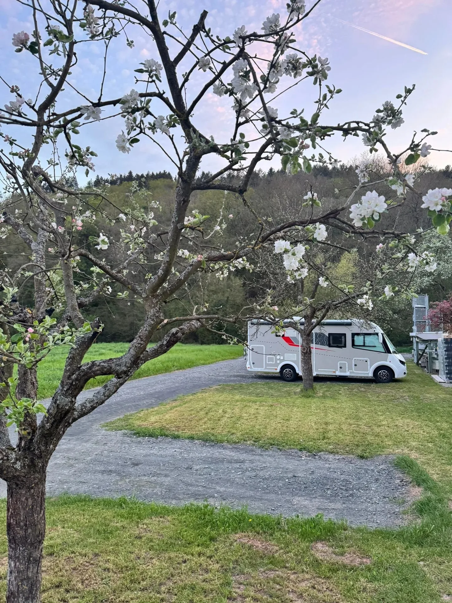 Weingut Weber — photo 46