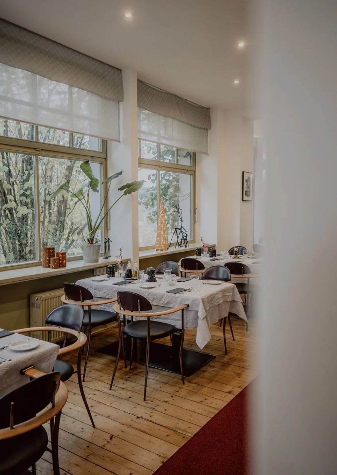 Restaurant Idille in Collina — photo 17