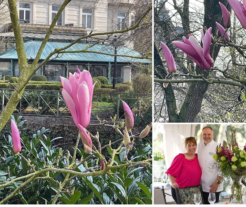 Le Jardin de France im Stahlbad — photo 34