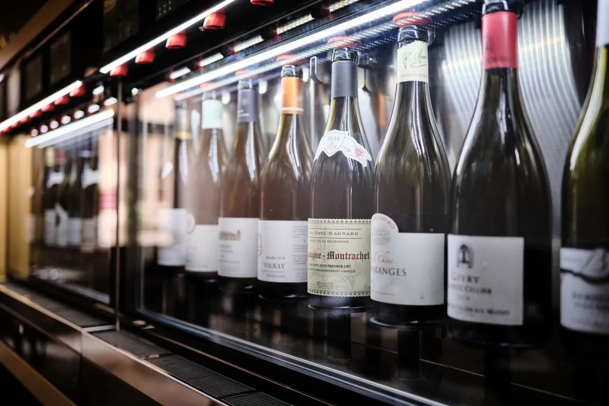 Loiseau des Vignes — photo 4