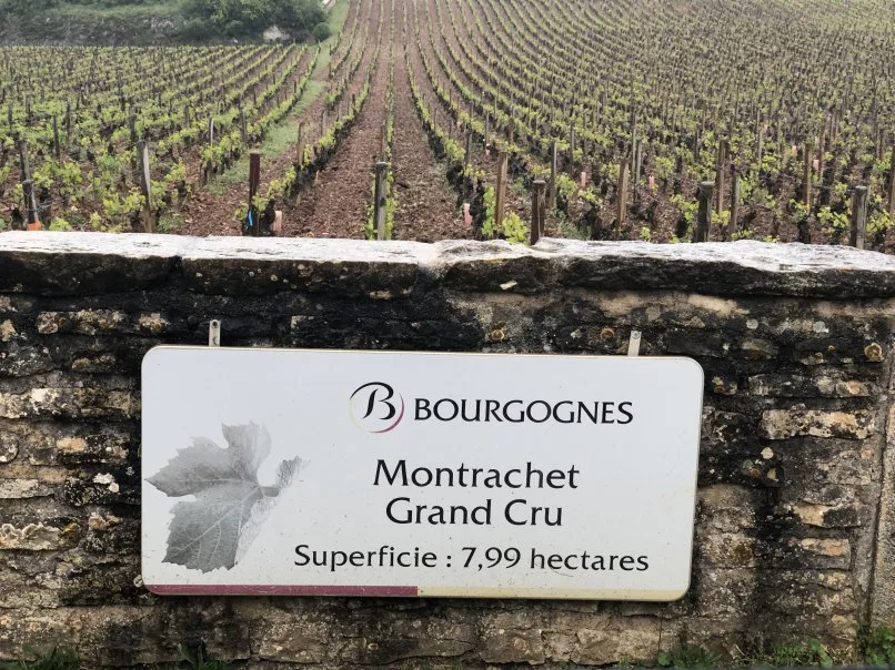 La Bécasse — photo 85