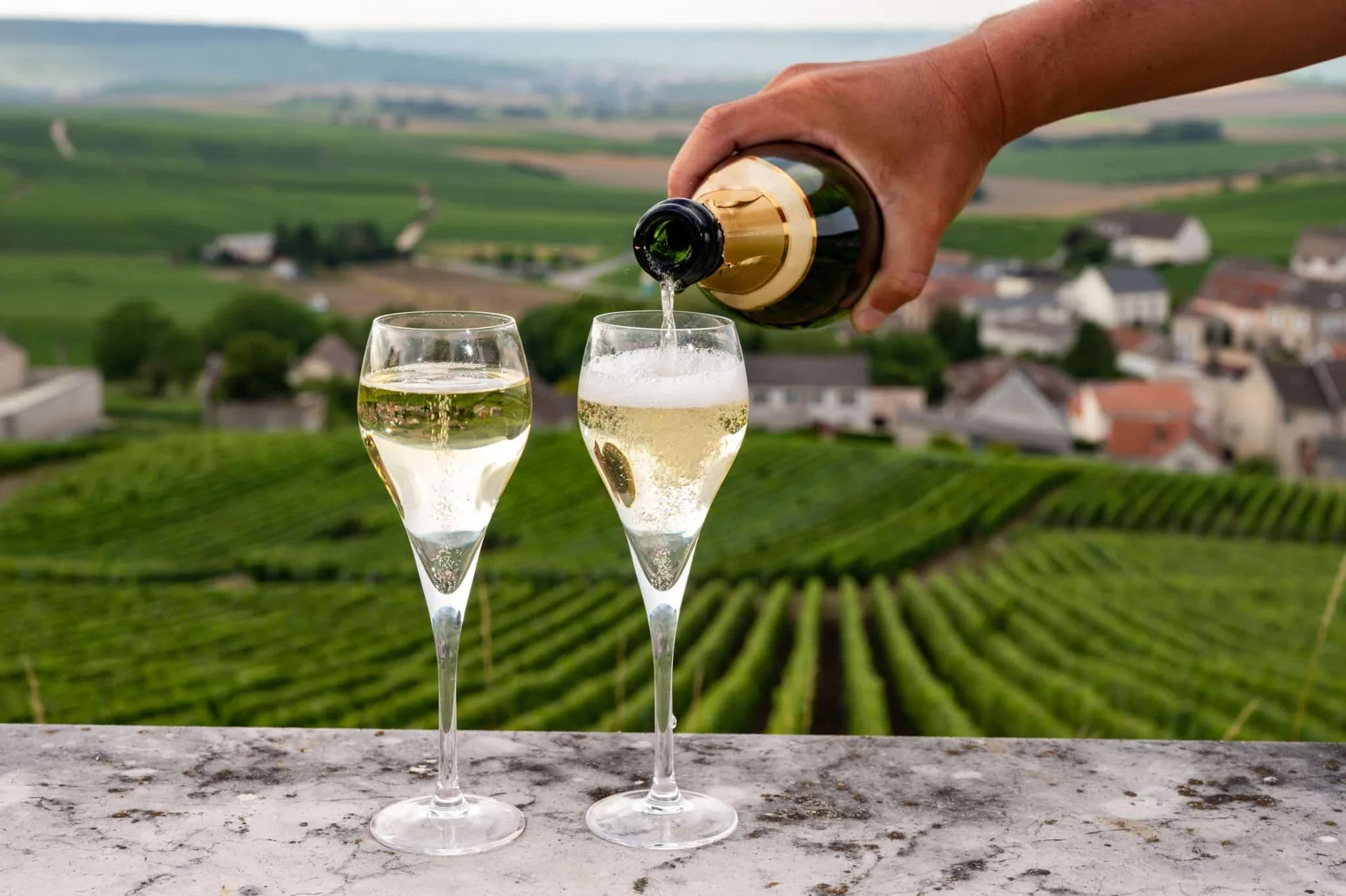 Vineyard — photo 83
