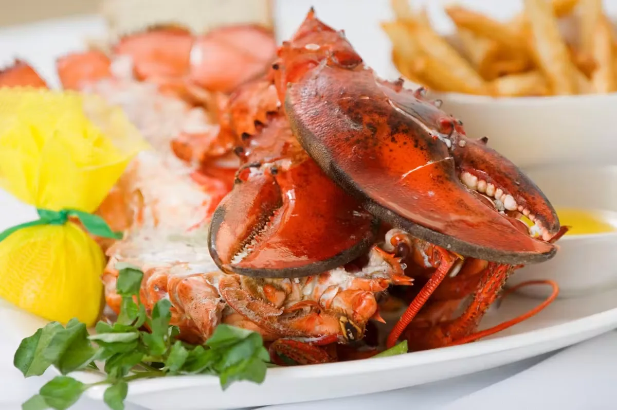 Oceanos Oyster Bar & Sea Grill — photo 16