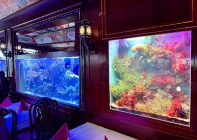 China-Restaurant Tang — photo 11