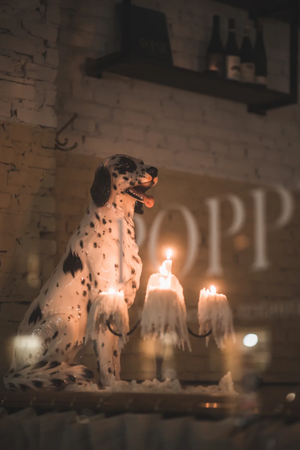Poppy — photo 29
