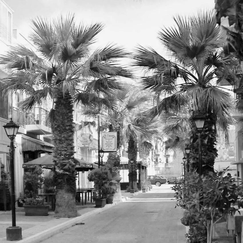 Tmun — photo 11