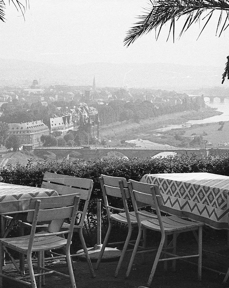 Villa Weißhaus Restaurant — photo 53