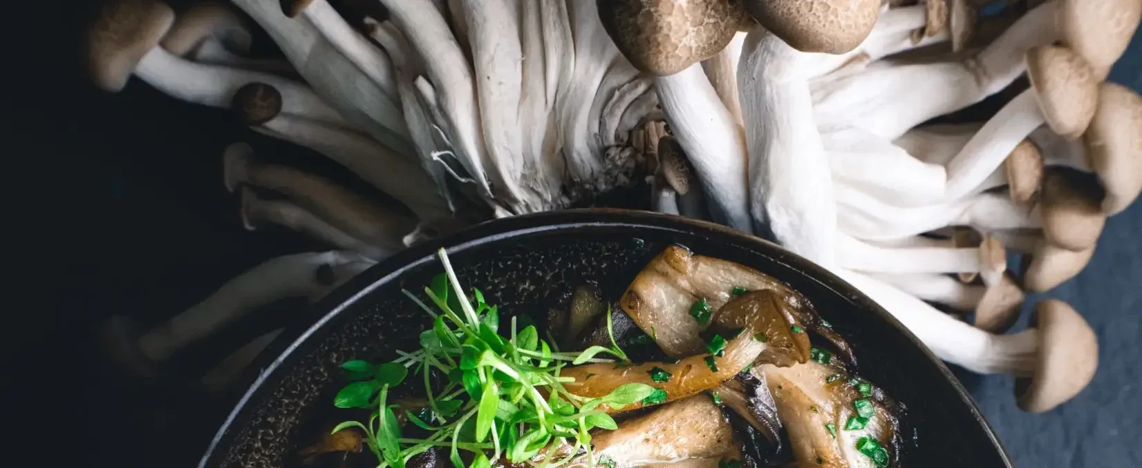 Alchemy Restaurant and Bar — food