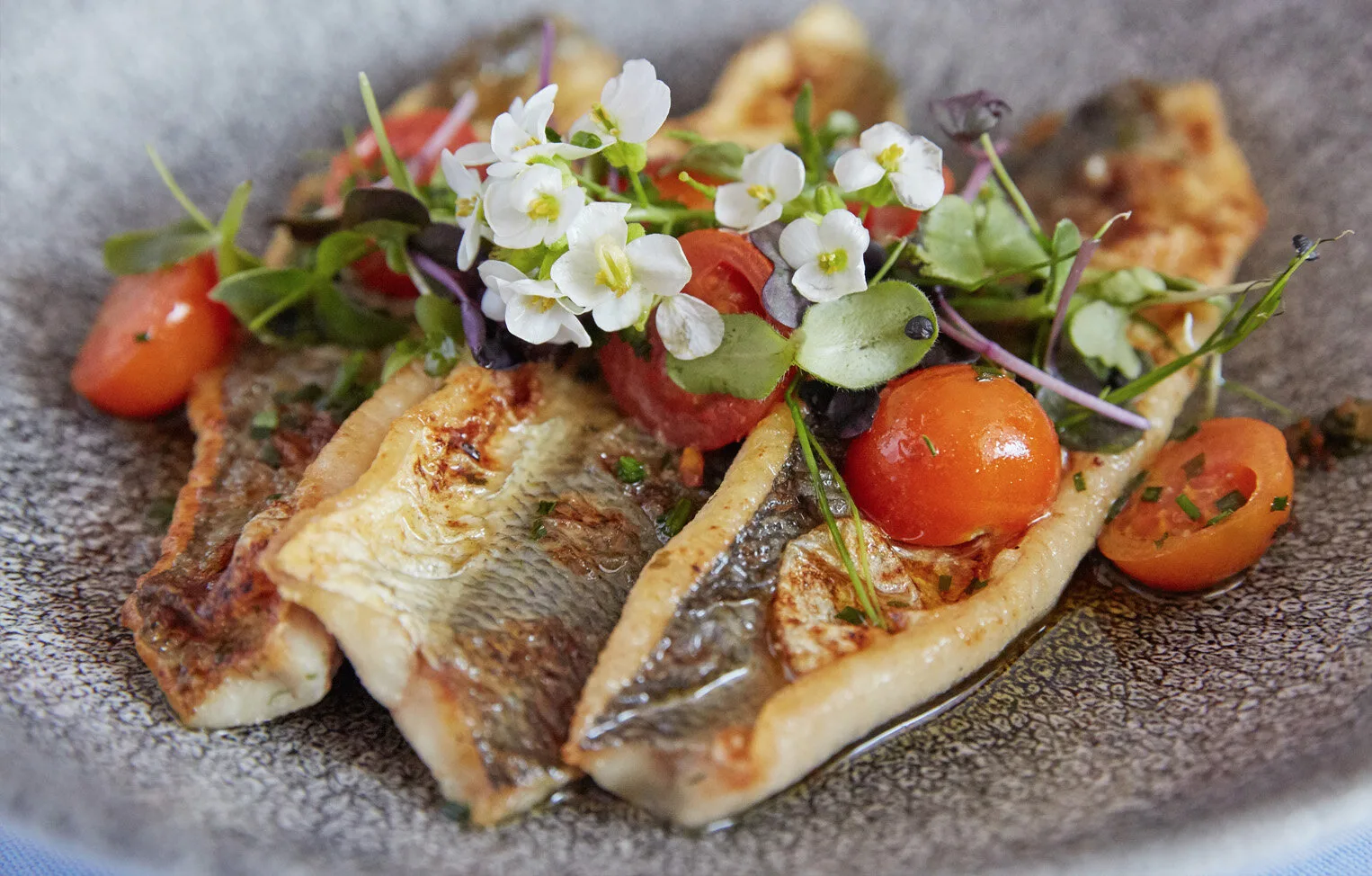 Zum Fischer am See — food