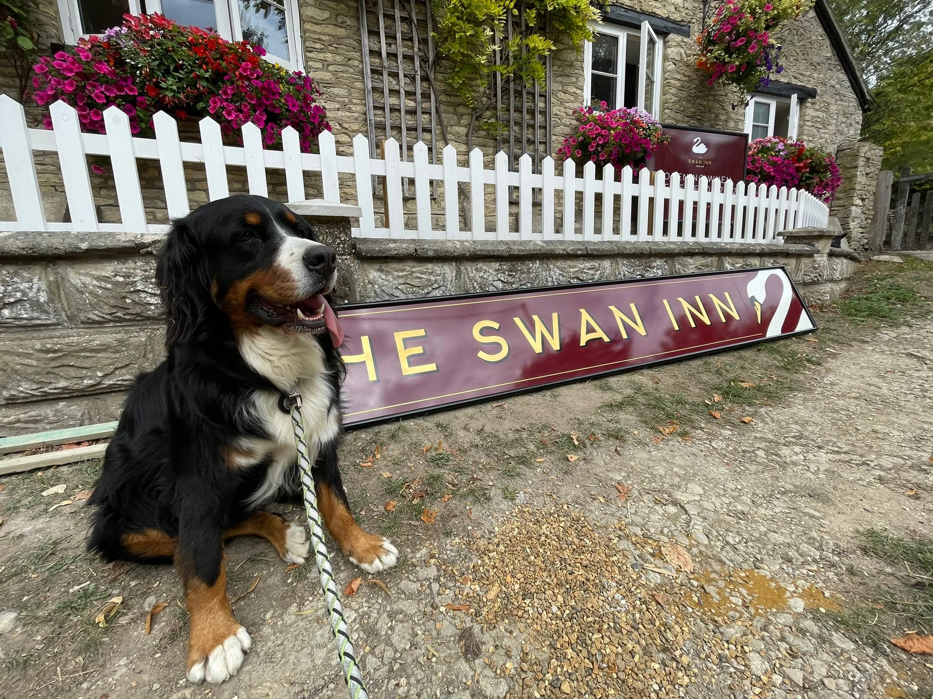 The Swan Inn — photo 10