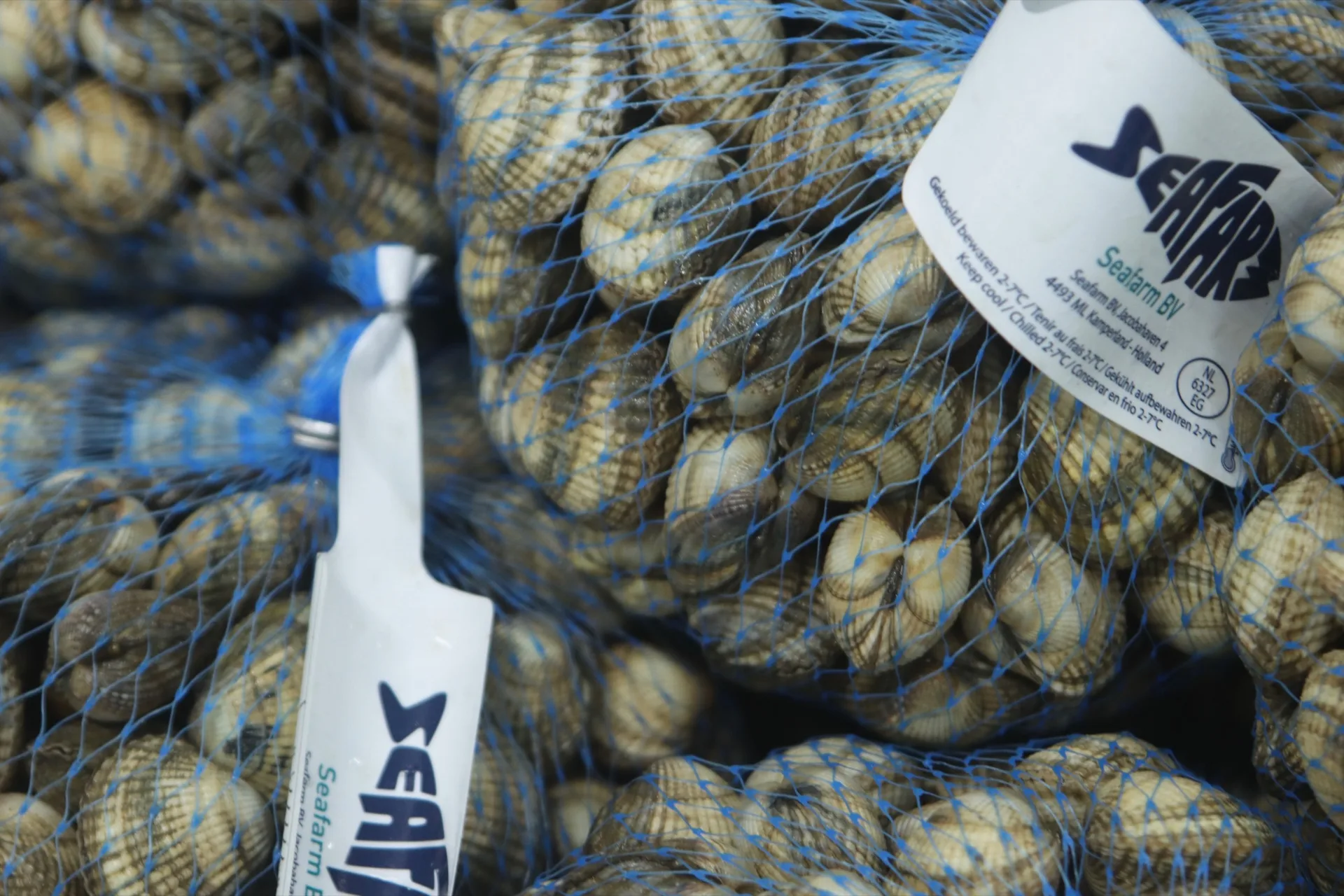 Seafarm — photo 10